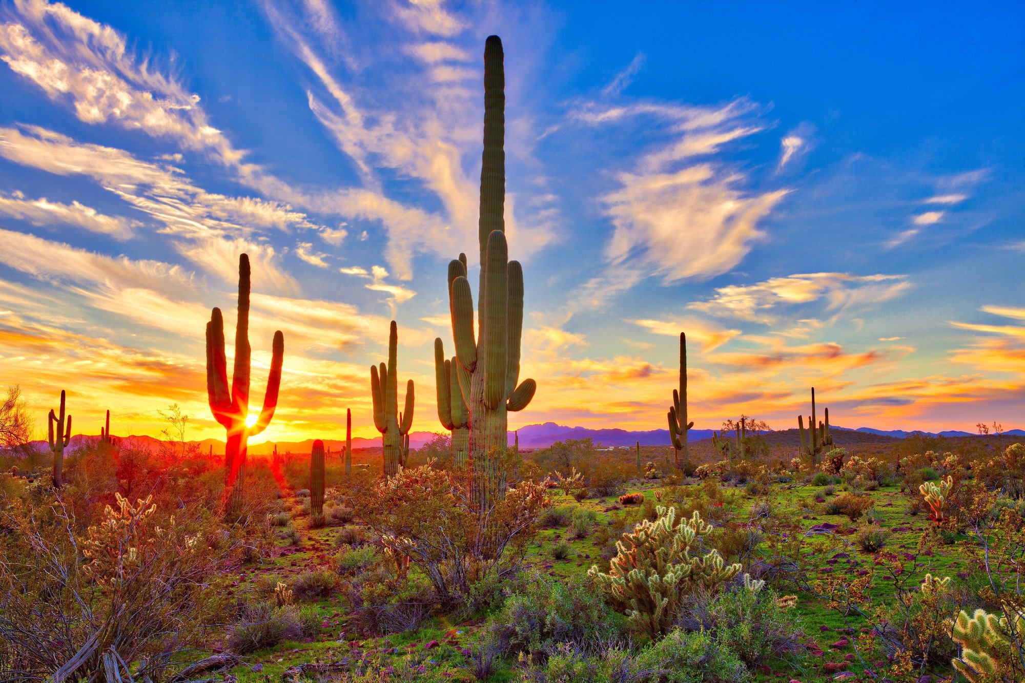 location-arizona4