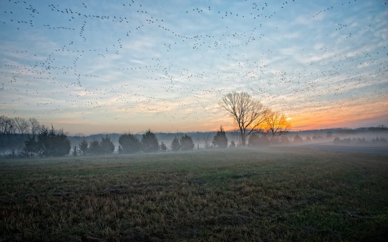 Sunrise near Jonesboro, Arkansas
