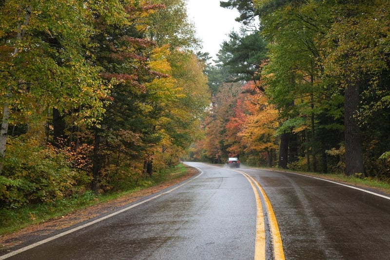 Road in minnesota