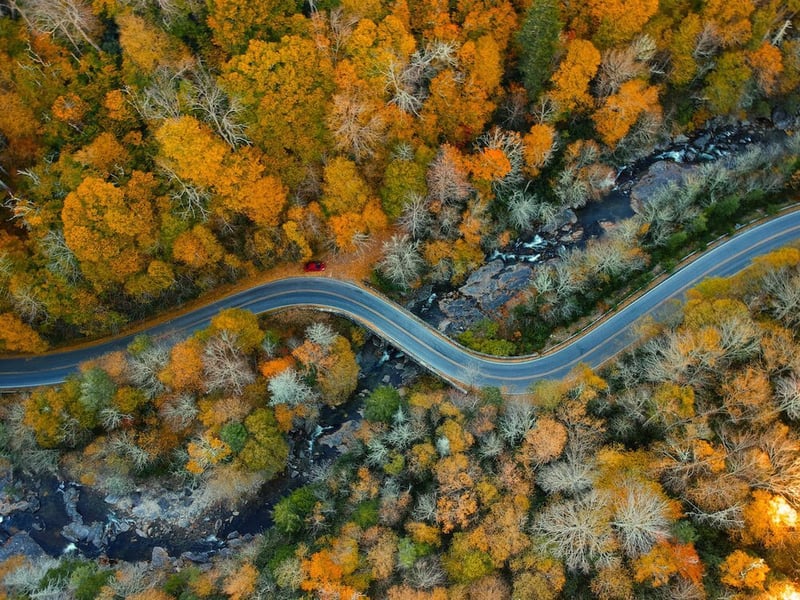 North Carolina roads