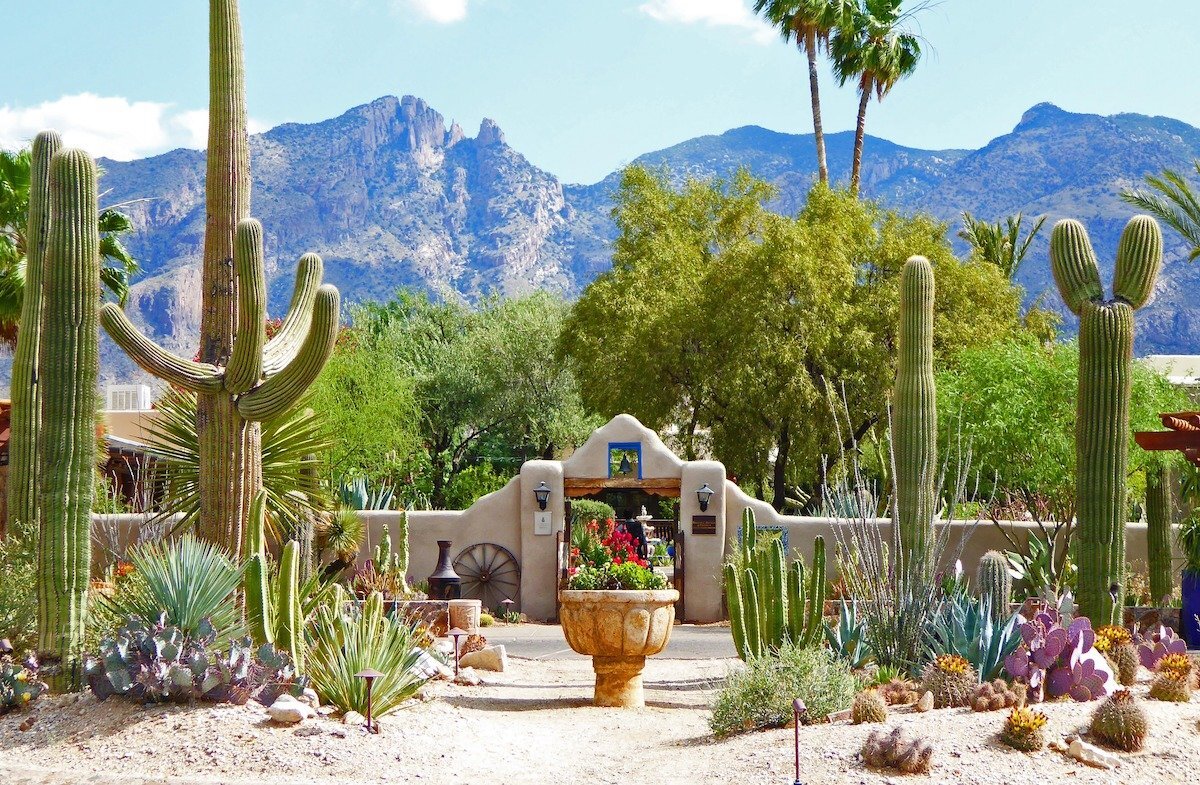 Tucson Arizona